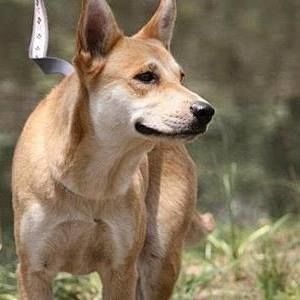 Meet your Posher, Nora